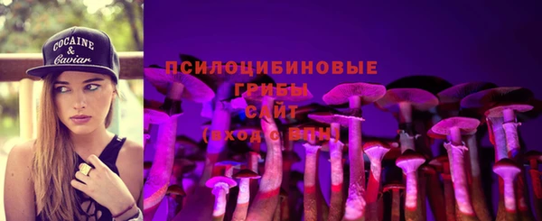 ECSTASY Горнозаводск