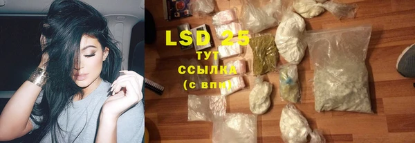 шишки Верея