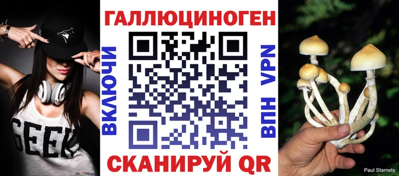 Галлюциногенные грибы Psilocybe Заполярный