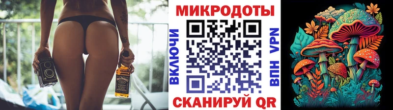 omg   Заполярный  Псилоцибиновые грибы Psilocybe 